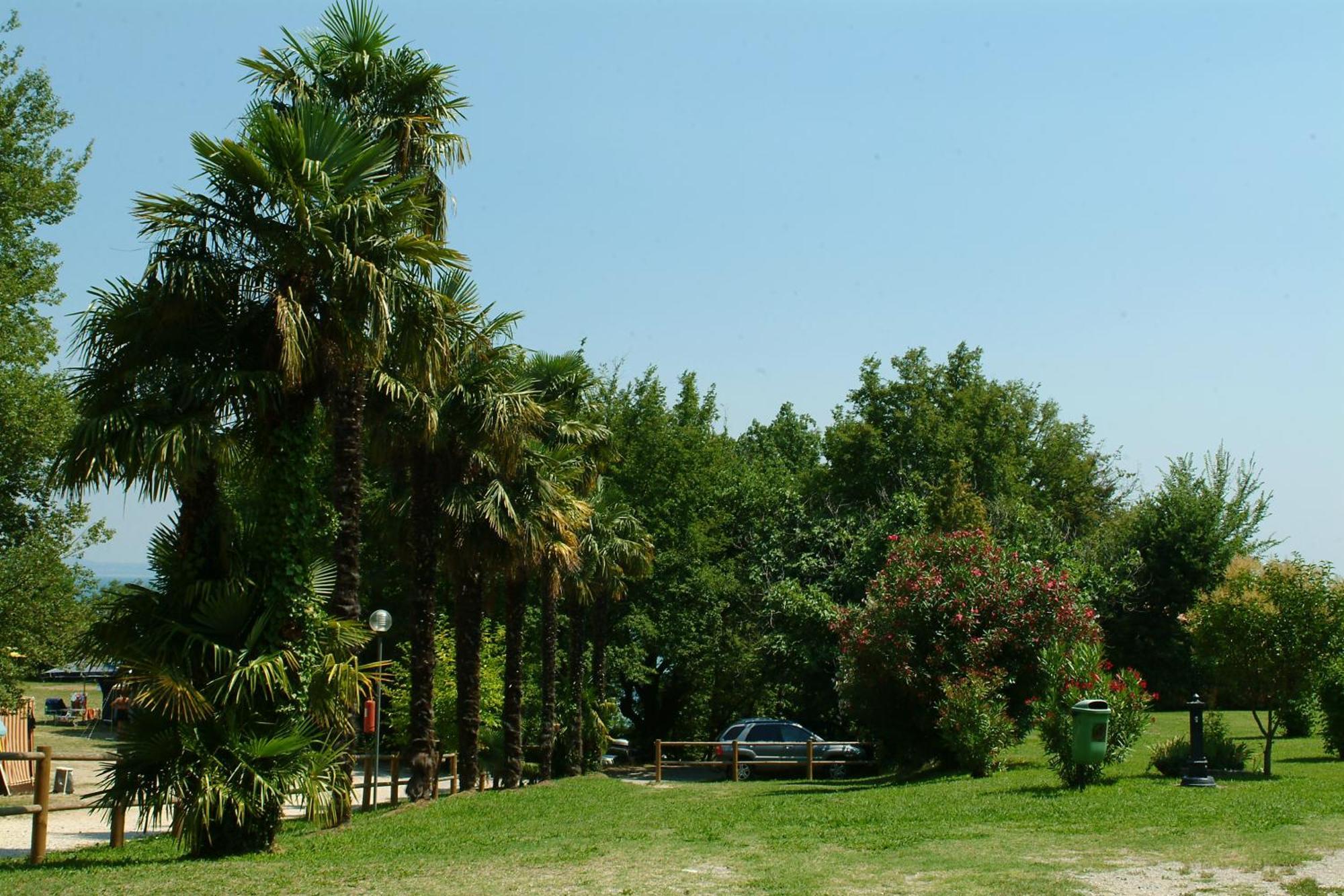 Camping Zocco Manerba del Garda Eksteriør bilde