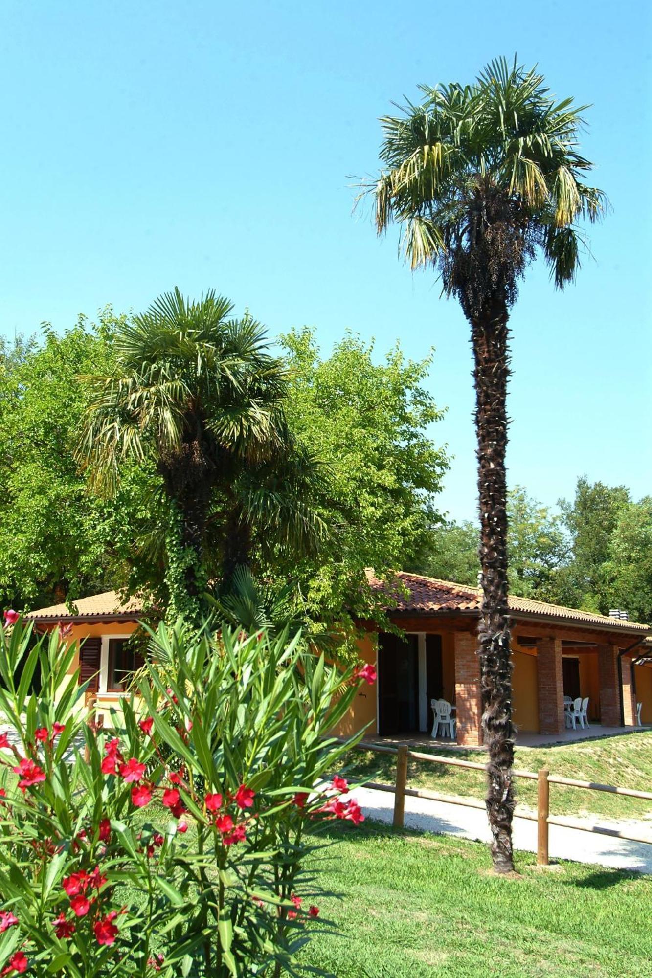 Camping Zocco Manerba del Garda Eksteriør bilde